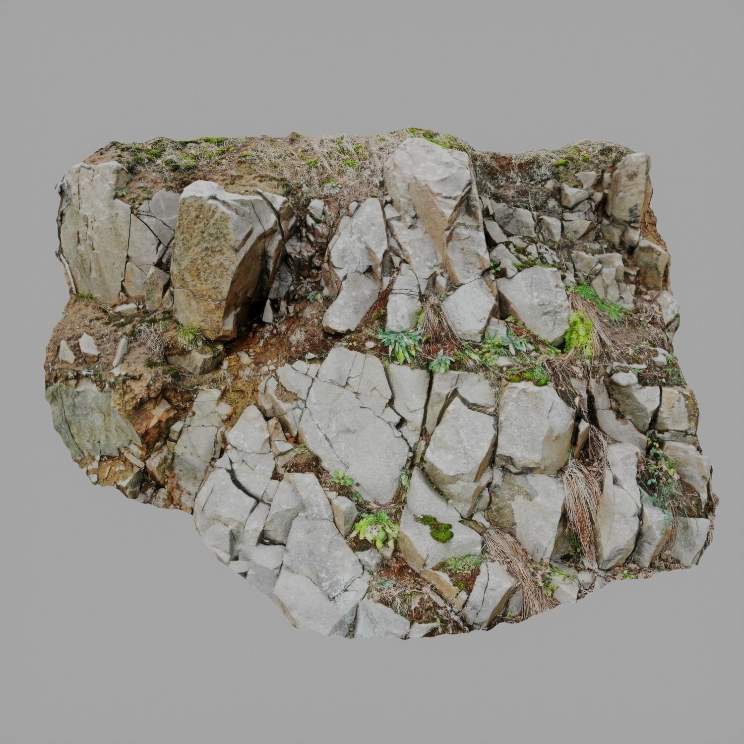 Cliff face 3d scanned D 3D model_1