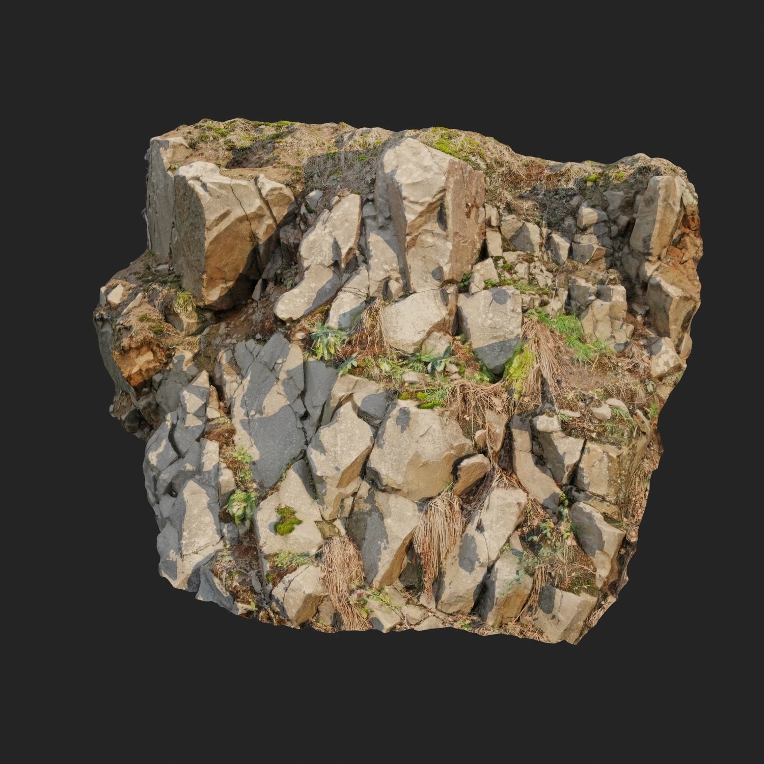 Cliff face 3d scanned D 3D model_7