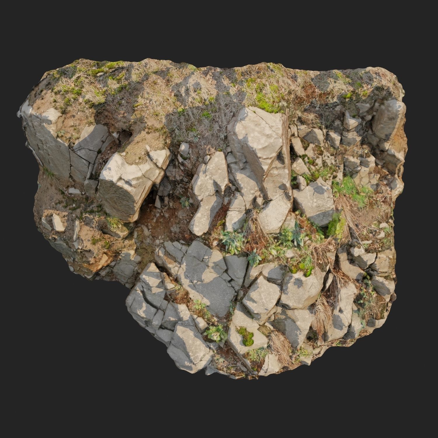 Cliff face 3d scanned D 3D model_8