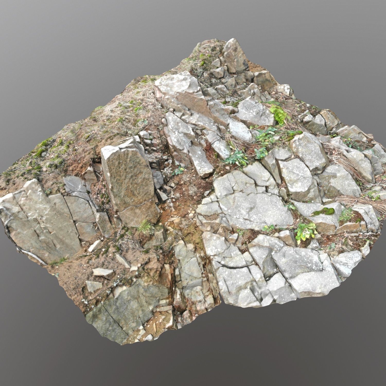 Cliff face 3d scanned D 3D model_2