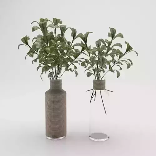 potted plant 4