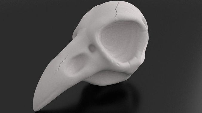 Crow Skull for 3d printing 3D print model