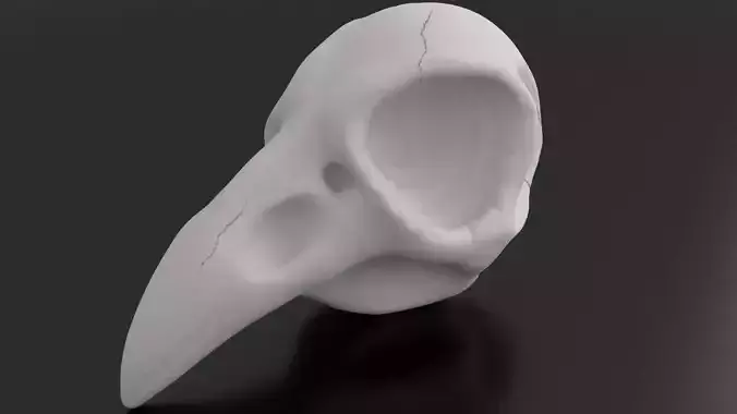 Crow Skull for 3d printing 3D print model
