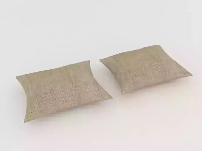 Pillows pair of jute