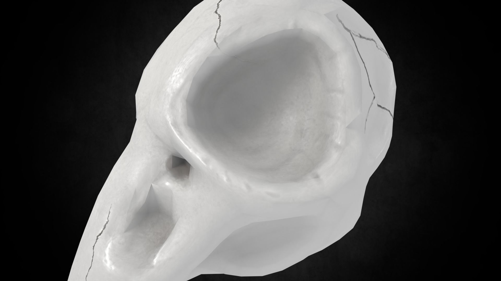 Low poly Crowskull bird of prey mask Low-poly 3D model_5