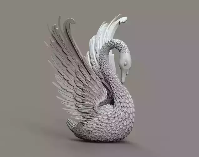swan bird