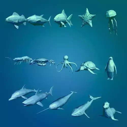 LowPoly Sea Animals Pack V2 Low-poly 3D model