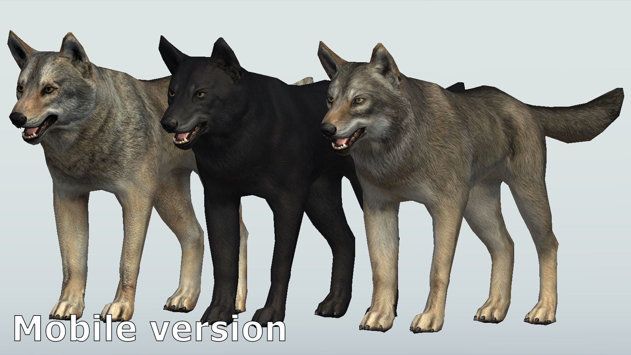 WOLF realistic Low-poly 3D model_10