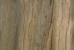 Bird House 3D print model_2