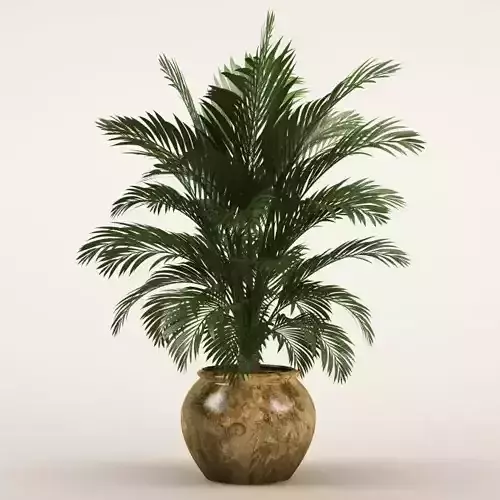 Plant 39