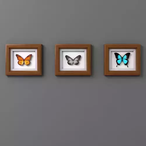 Framed Butterflies wall decoration