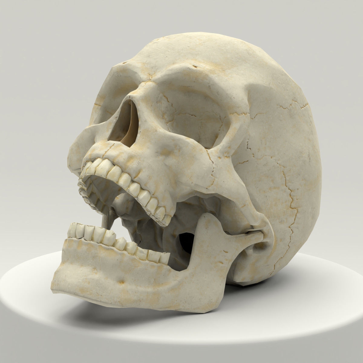 Human Skull Low Poly Low-poly 3D model_6