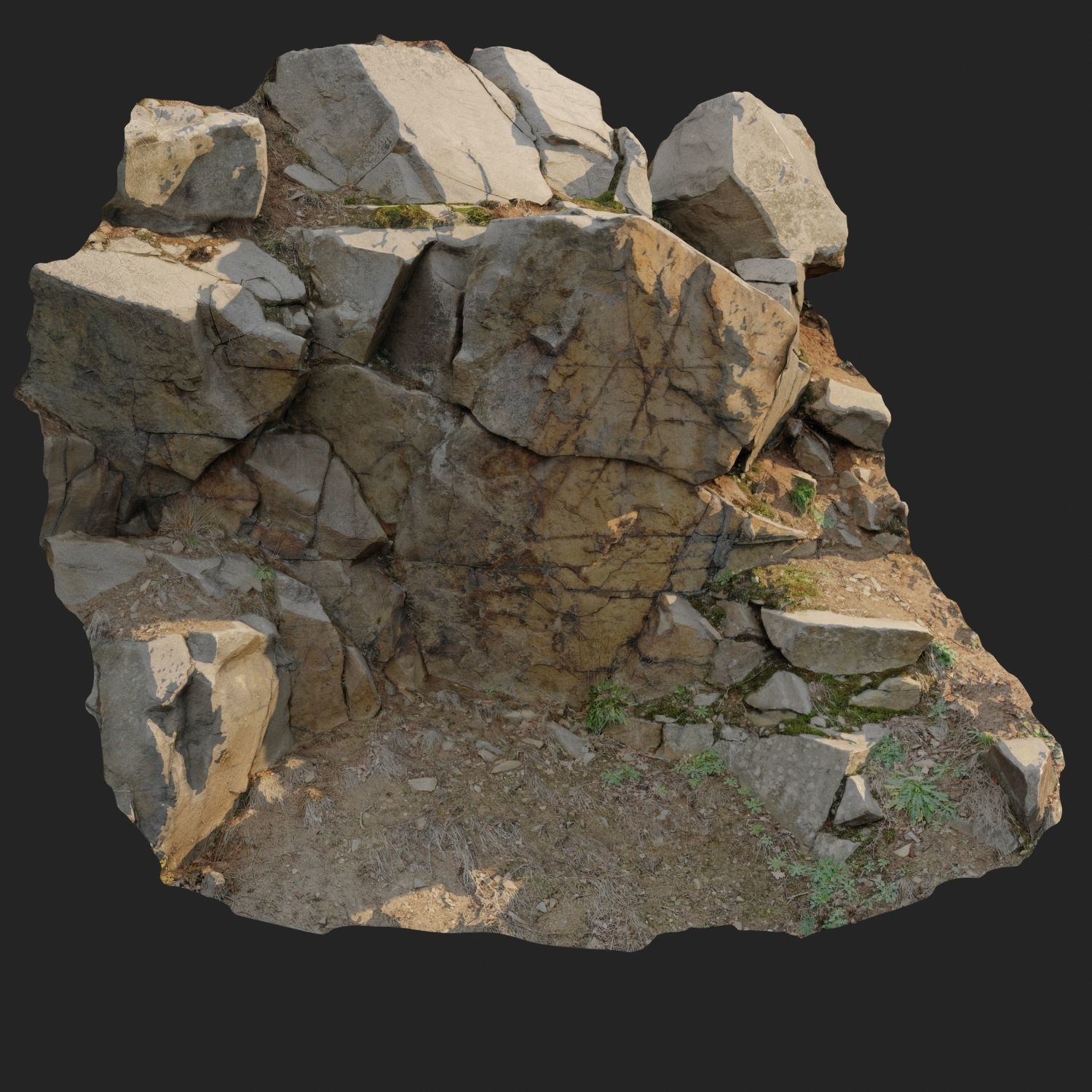 3d scanned cliff face H 3D model_8