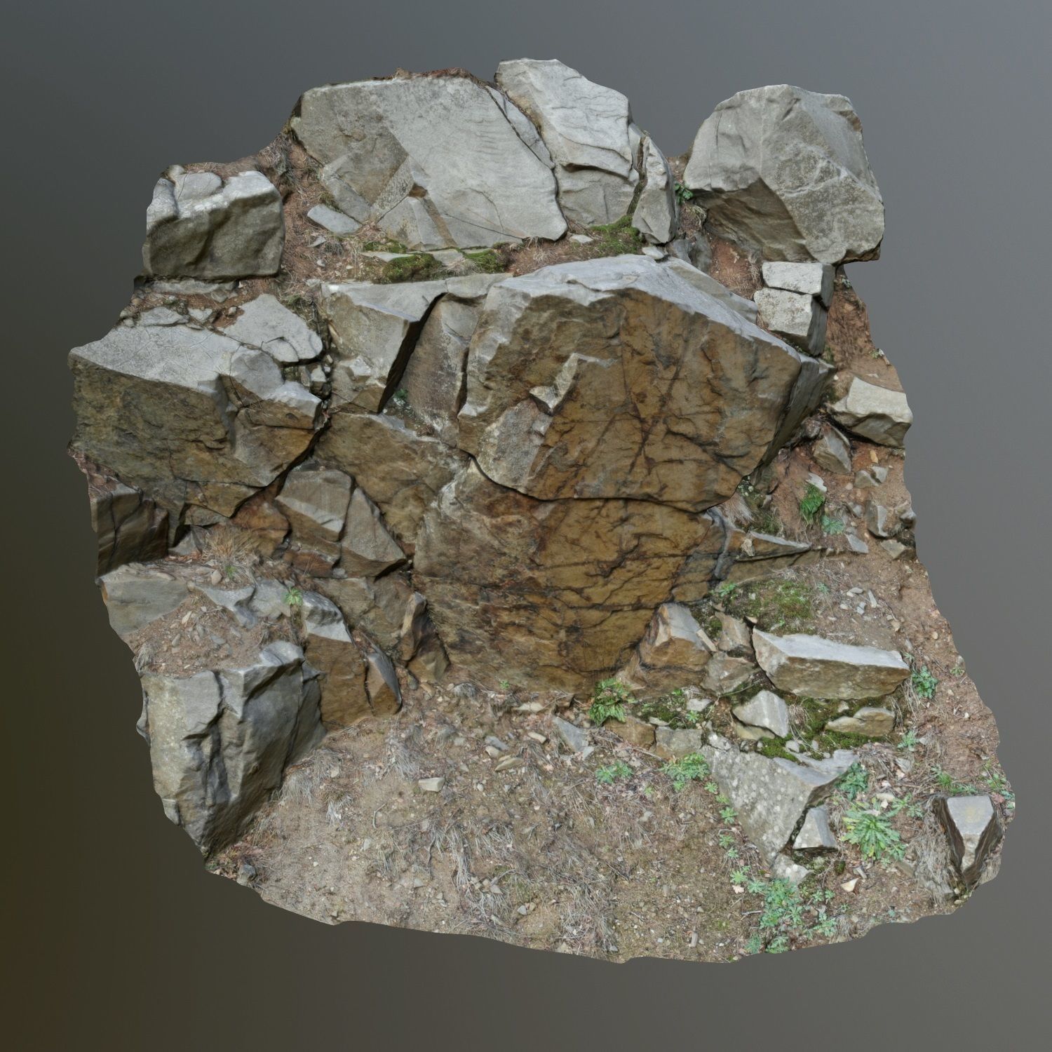 3d scanned cliff face H 3D model_4