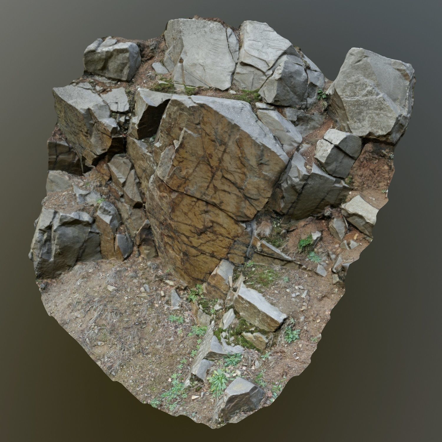 3d scanned cliff face H 3D model_5