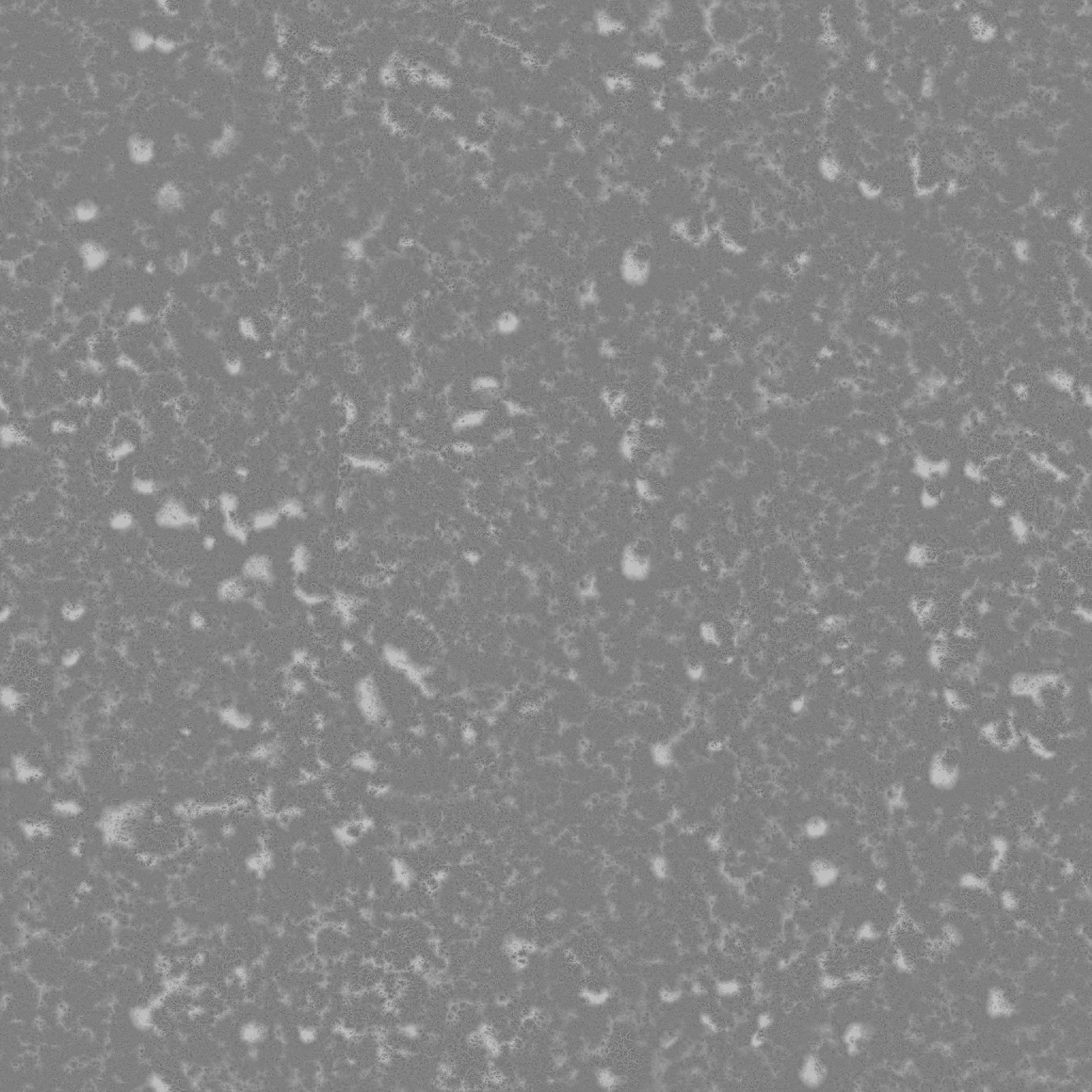 Smooth Rock Pack 1 Low-poly 3D model_29