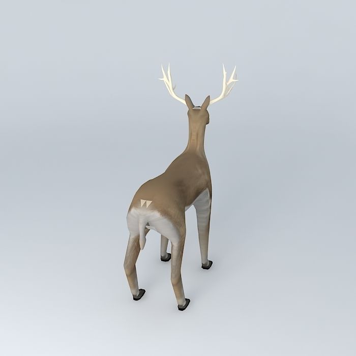 Deer with rack Free 3D model_1