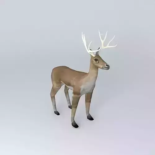 Deer with rack Free 3D model