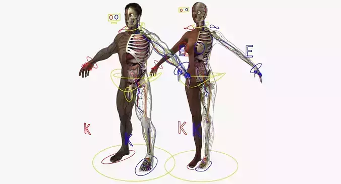 Ultimate Rigged African American Combo