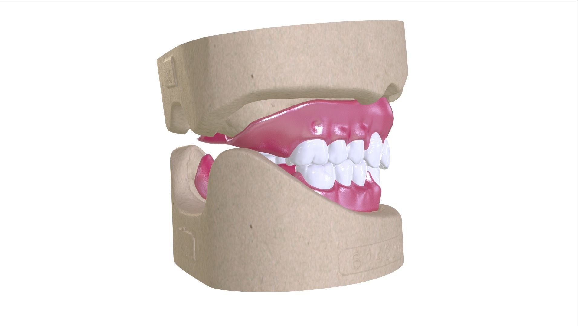 Digital Full Dentures with Combined Glue-in Teeth Arch 3D print model_19