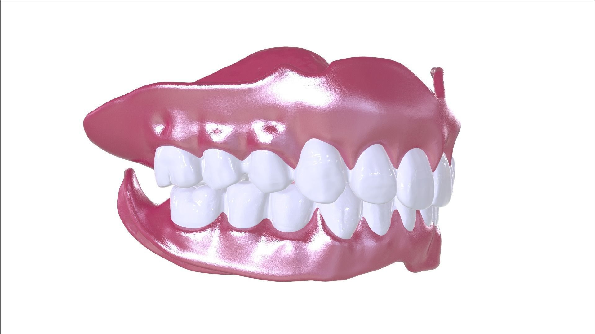 Digital Full Dentures with Combined Glue-in Teeth Arch 3D print model_16