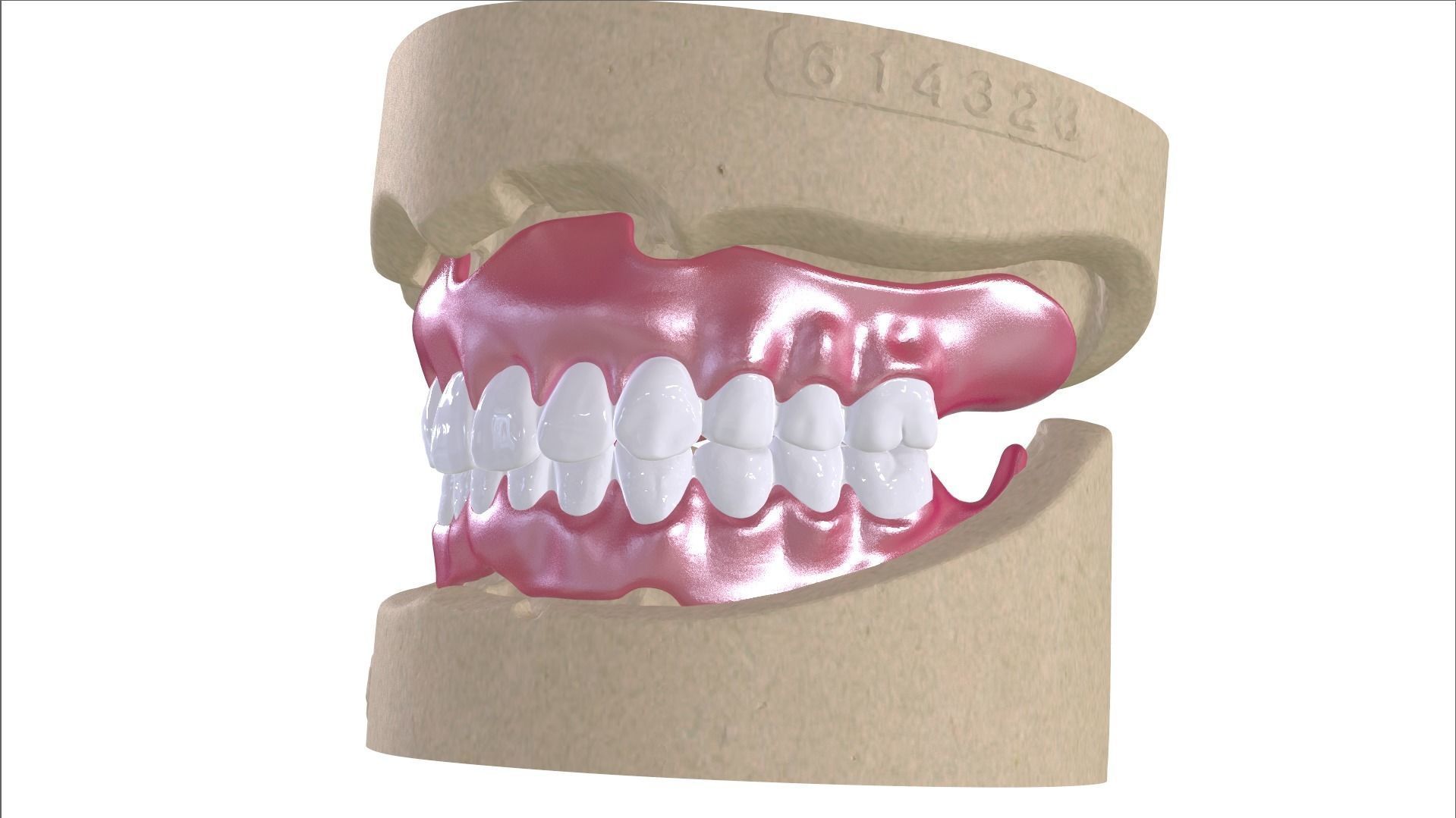 Digital Full Dentures with Combined Glue-in Teeth Arch 3D print model_5