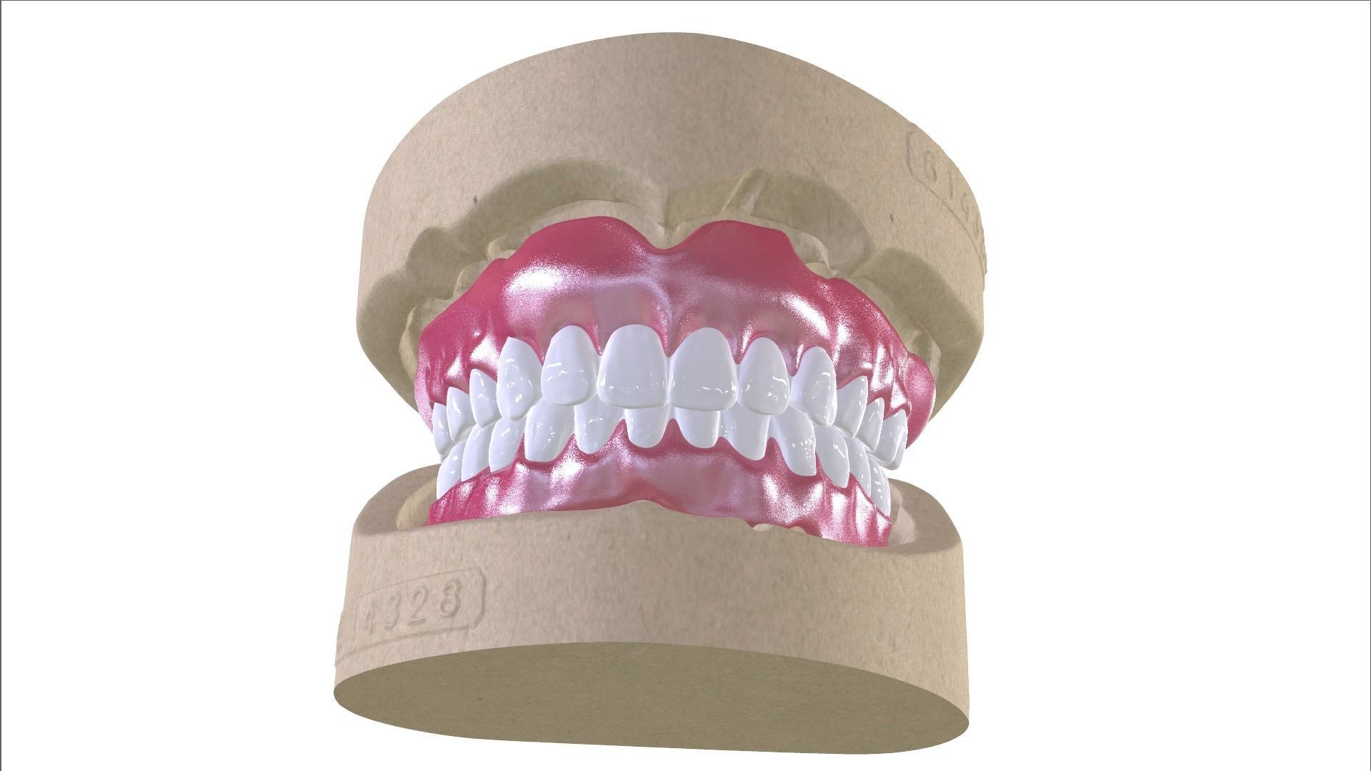 Digital Full Dentures with Combined Glue-in Teeth Arch 3D print model_4