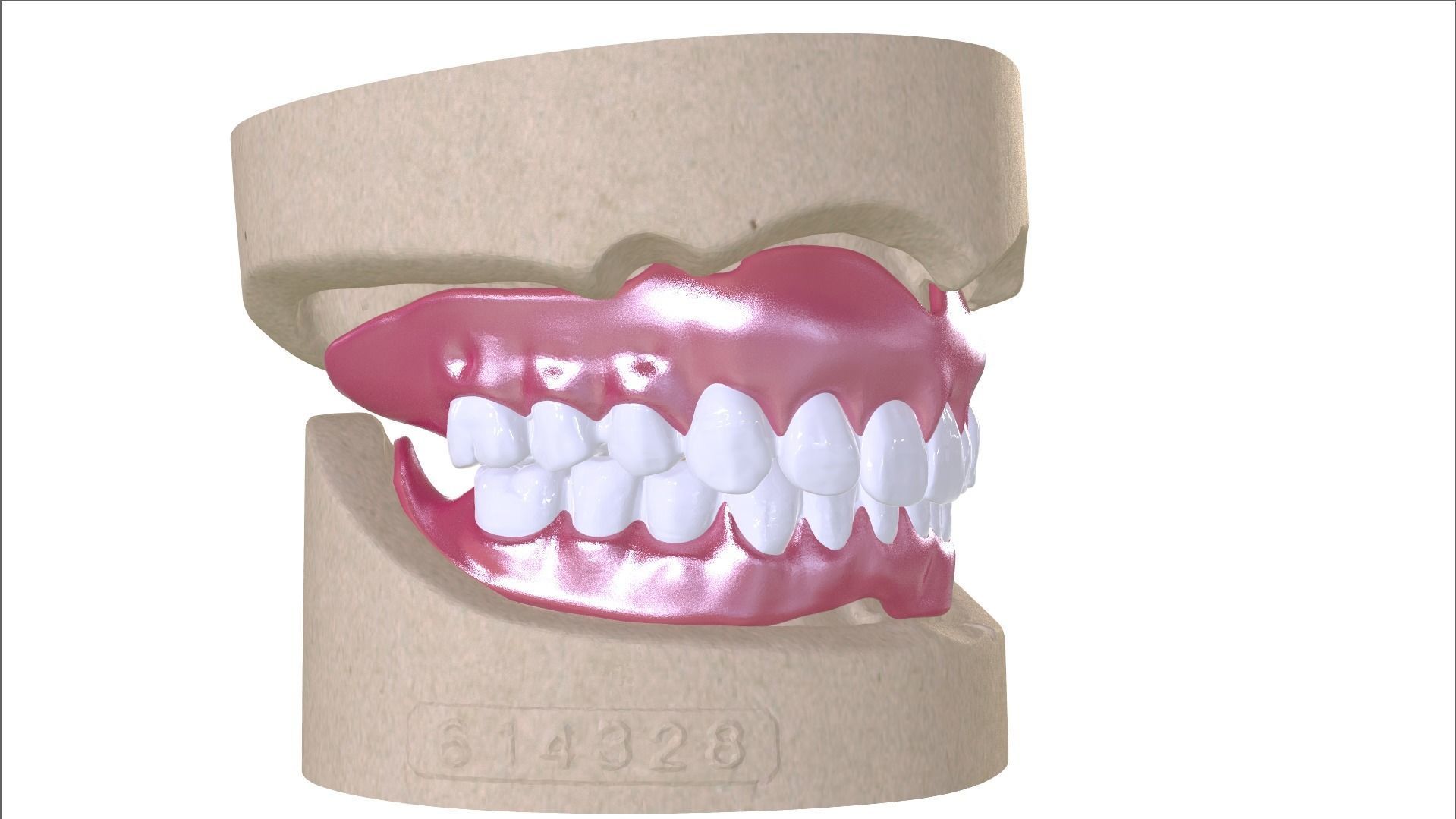 Digital Full Dentures with Combined Glue-in Teeth Arch 3D print model_2