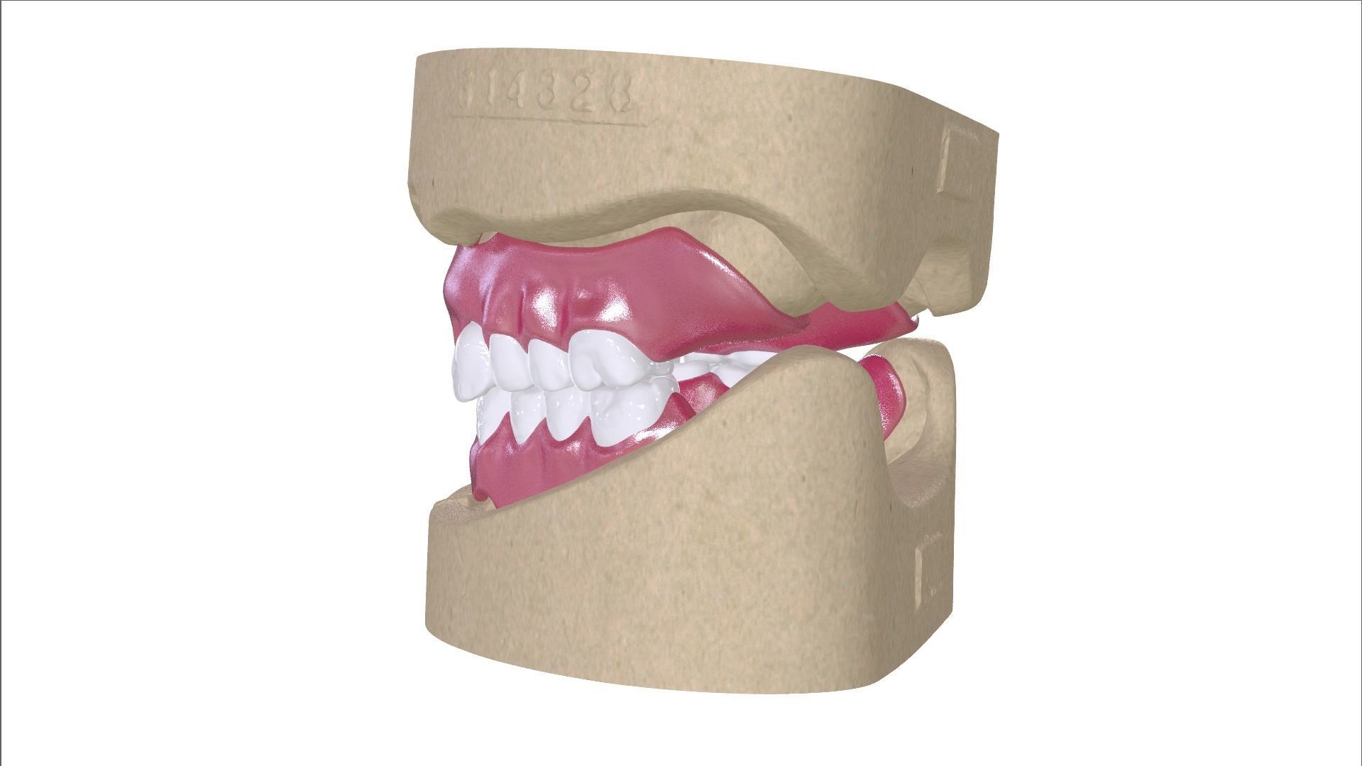Digital Full Dentures with Combined Glue-in Teeth Arch 3D print model_14
