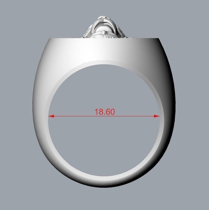 Ring design with lion 3dm stl 3D print model 3D print model_14