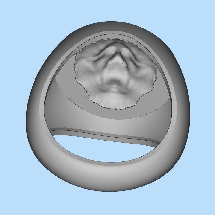 Ring design with lion 3dm stl 3D print model 3D print model_19