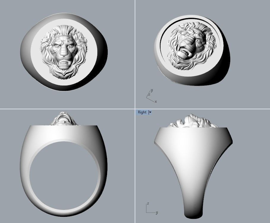 Ring design with lion 3dm stl 3D print model 3D print model_13