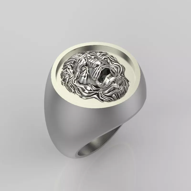 Ring design with lion 3dm stl 3D print model 3D print model_0