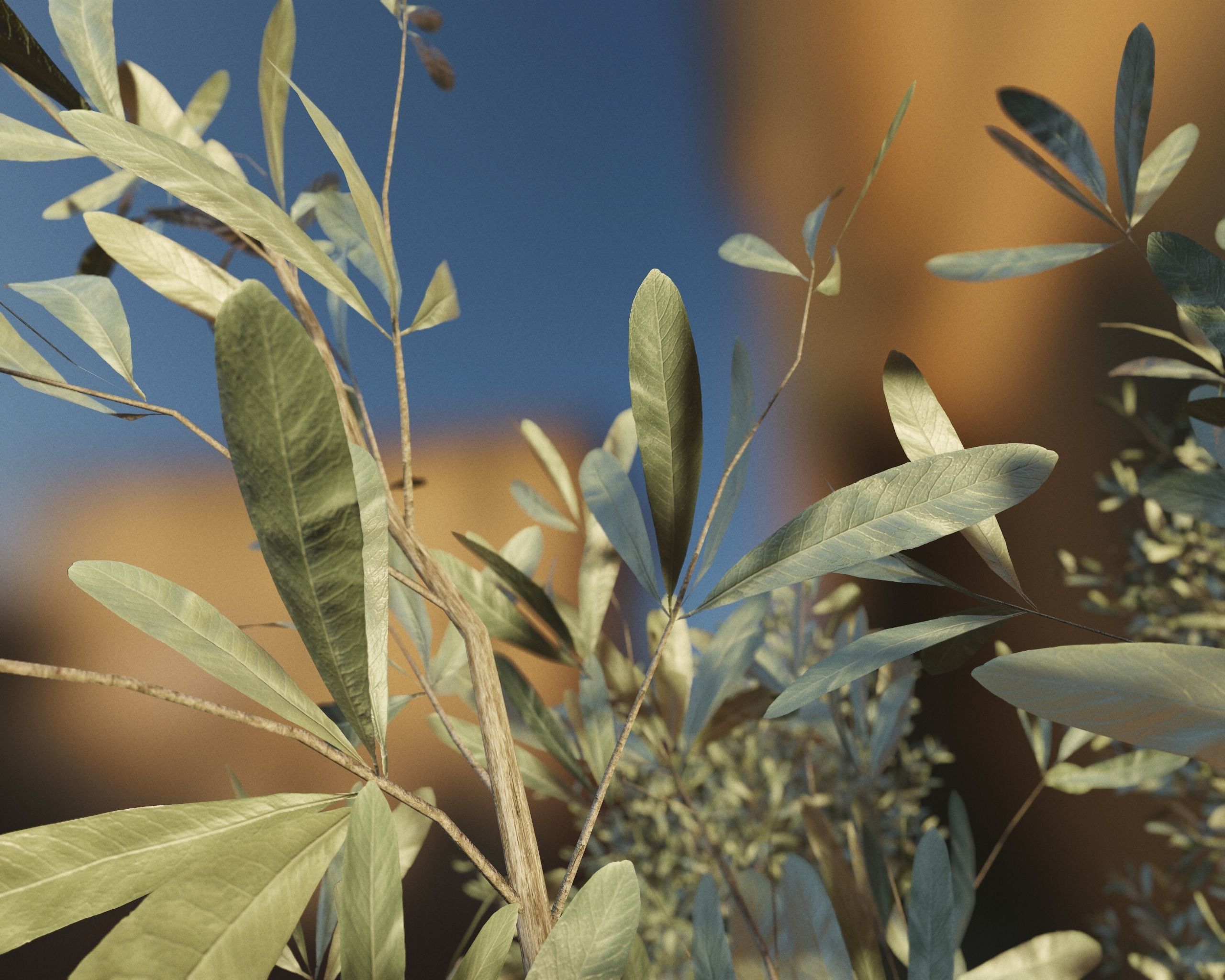 Set of 6 Olive Trees 3D model_9