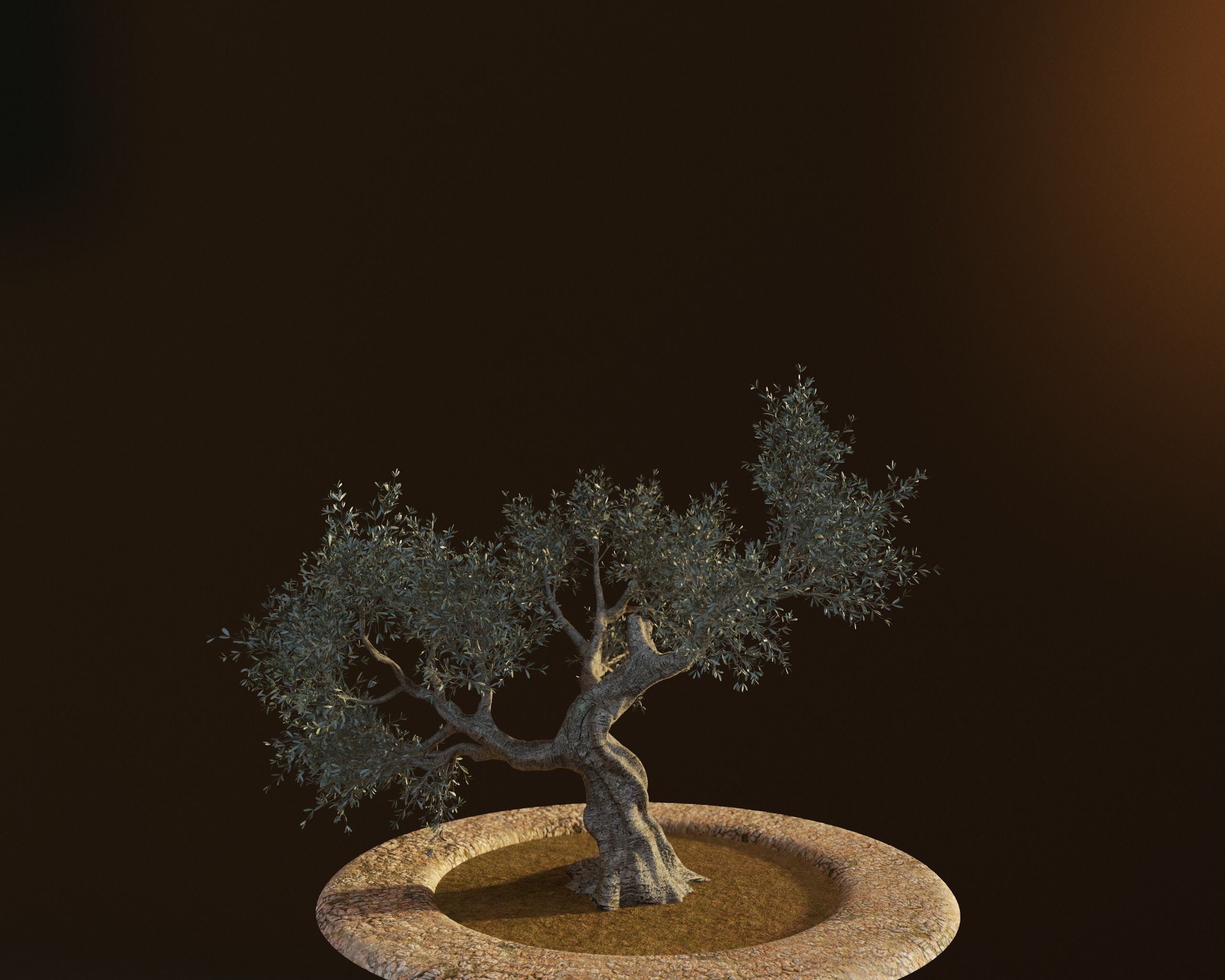 Set of 6 Olive Trees 3D model_18