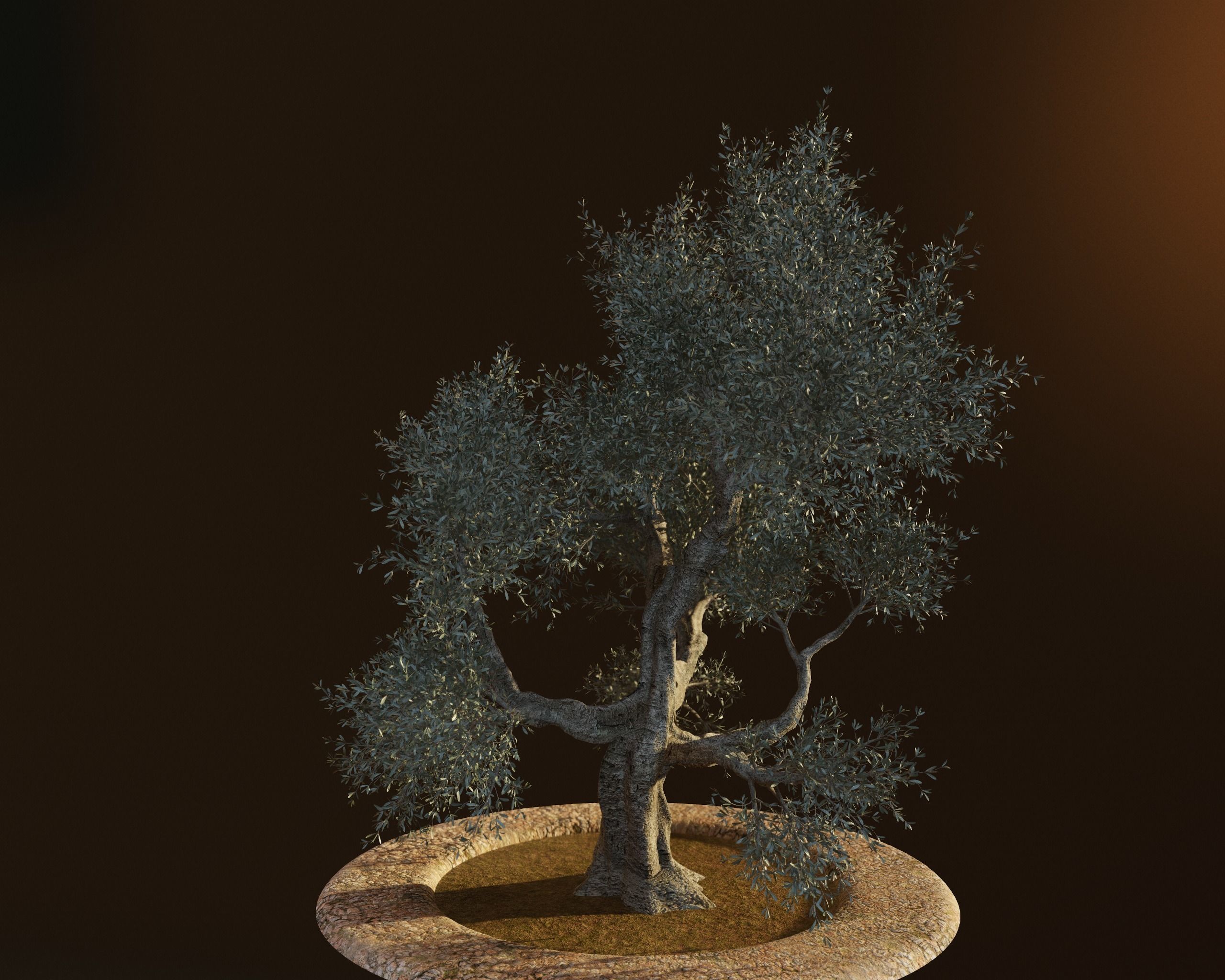 Set of 6 Olive Trees 3D model_20
