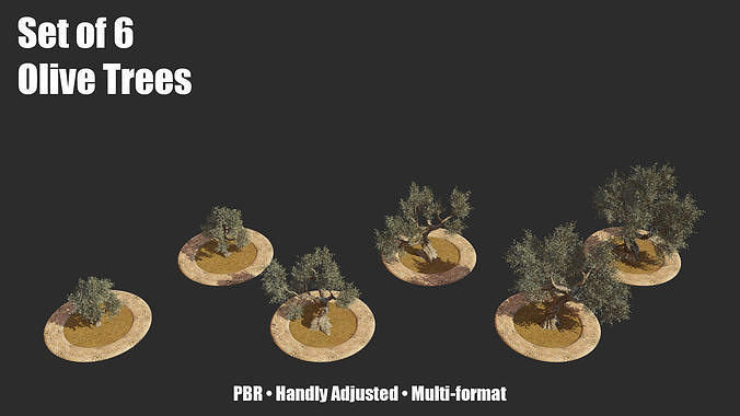 Set of 6 Olive Trees 3D model 2