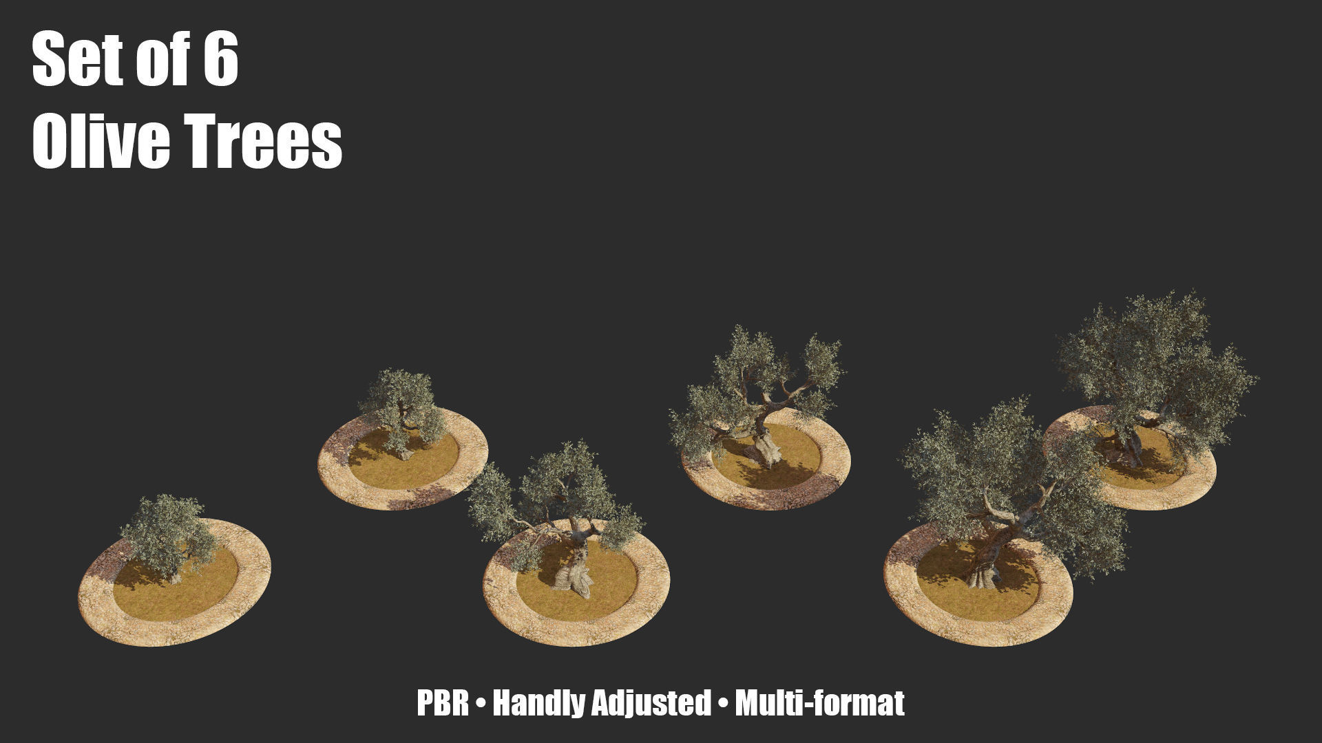 Set of 6 Olive Trees 3D model_8