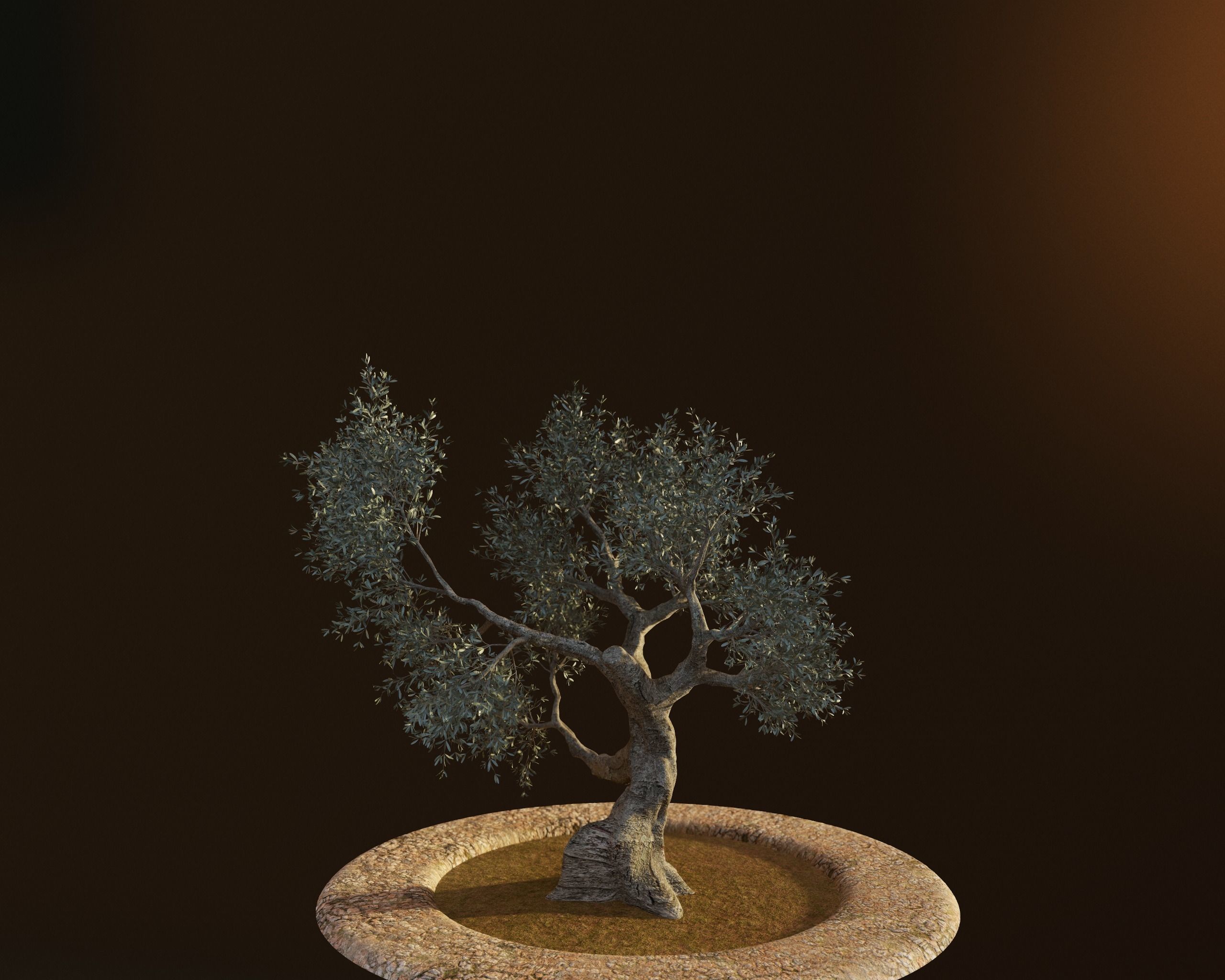Set of 6 Olive Trees 3D model_19