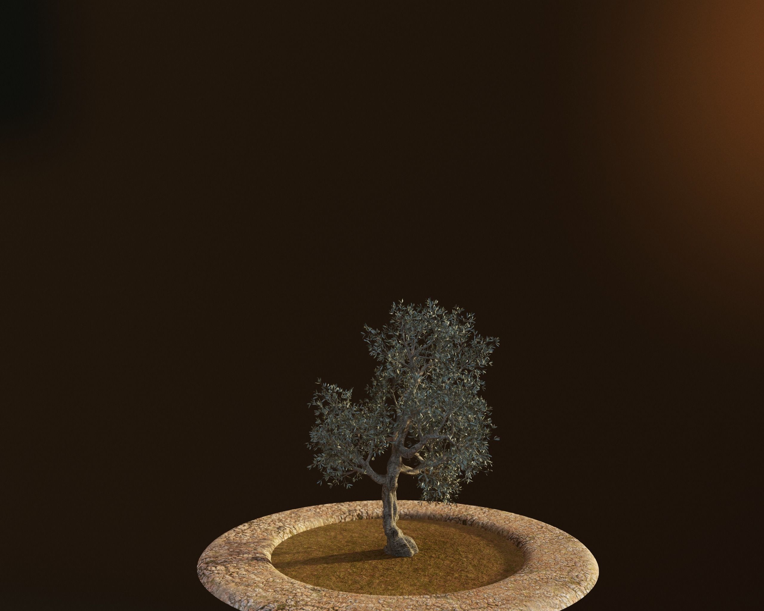 Set of 6 Olive Trees 3D model_21