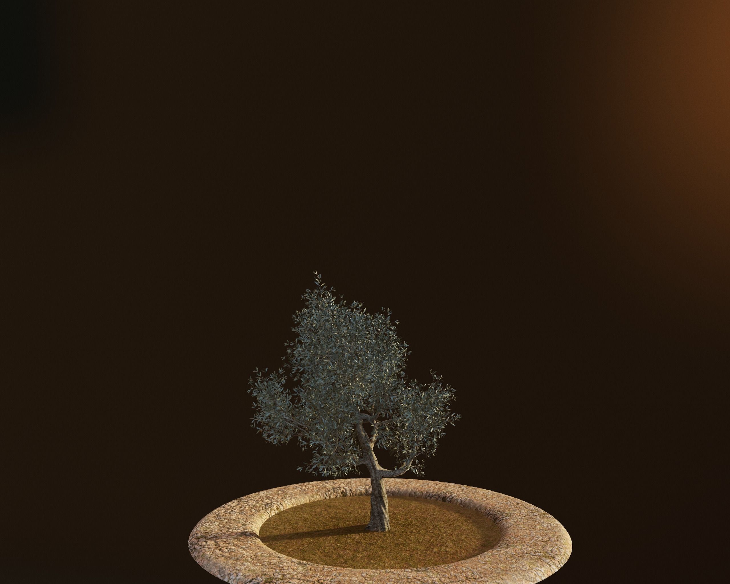 Set of 6 Olive Trees 3D model_23