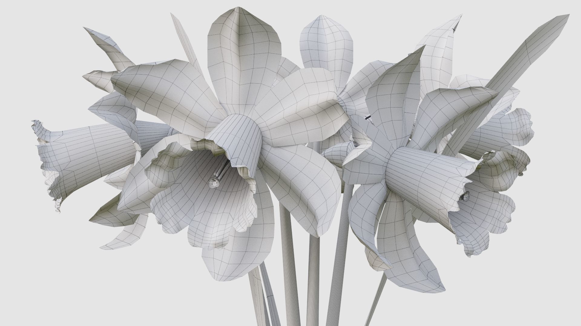 Vase and narcissus 3D model_12