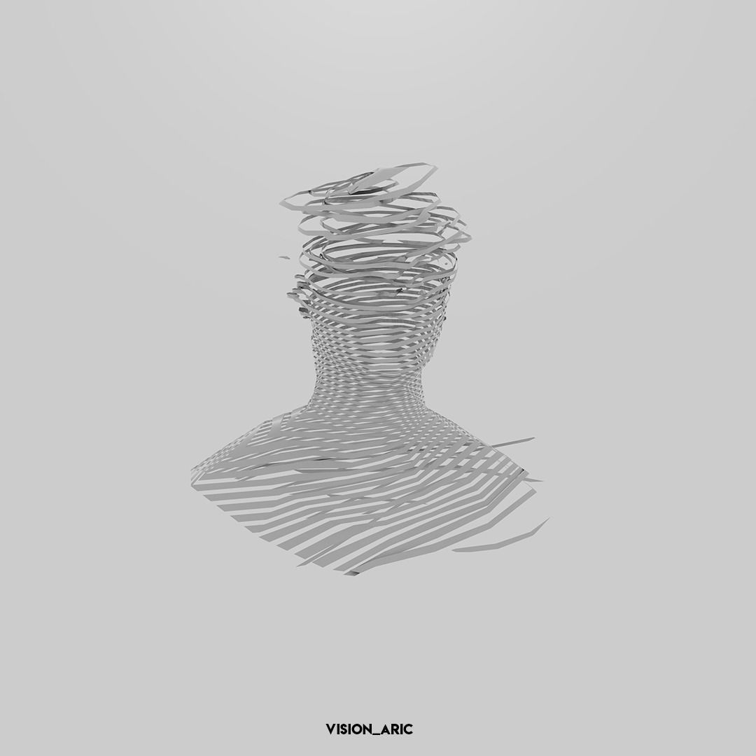 Ribbonised Face Model 3D model_2