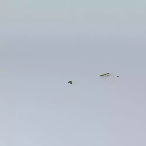 dragon model crocodiles in sky