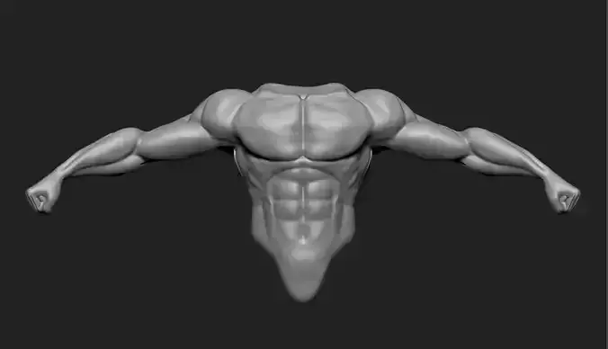 Male Torso 3D model