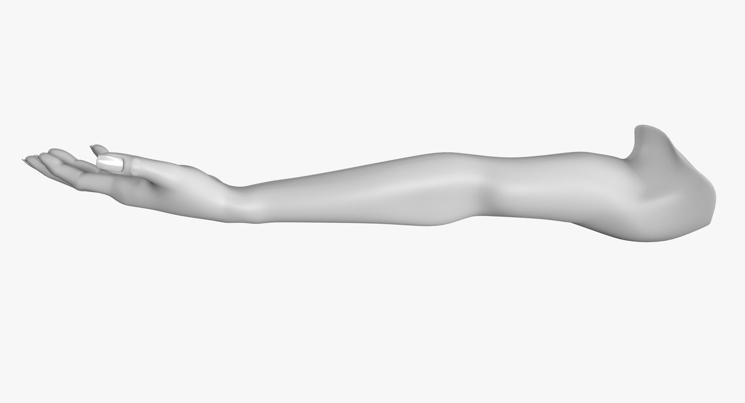 Arm left without texture 3d model female Low-poly 3D model_10
