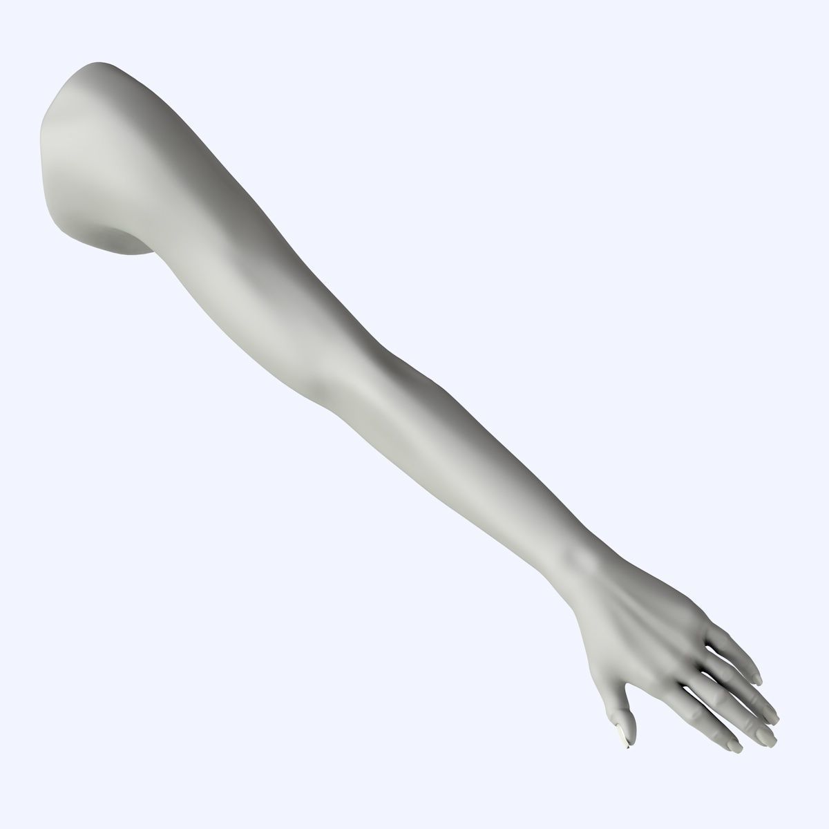 Arm left without texture 3d model female Low-poly 3D model_2