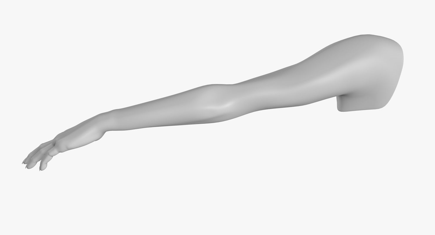 Arm left without texture 3d model female Low-poly 3D model_5