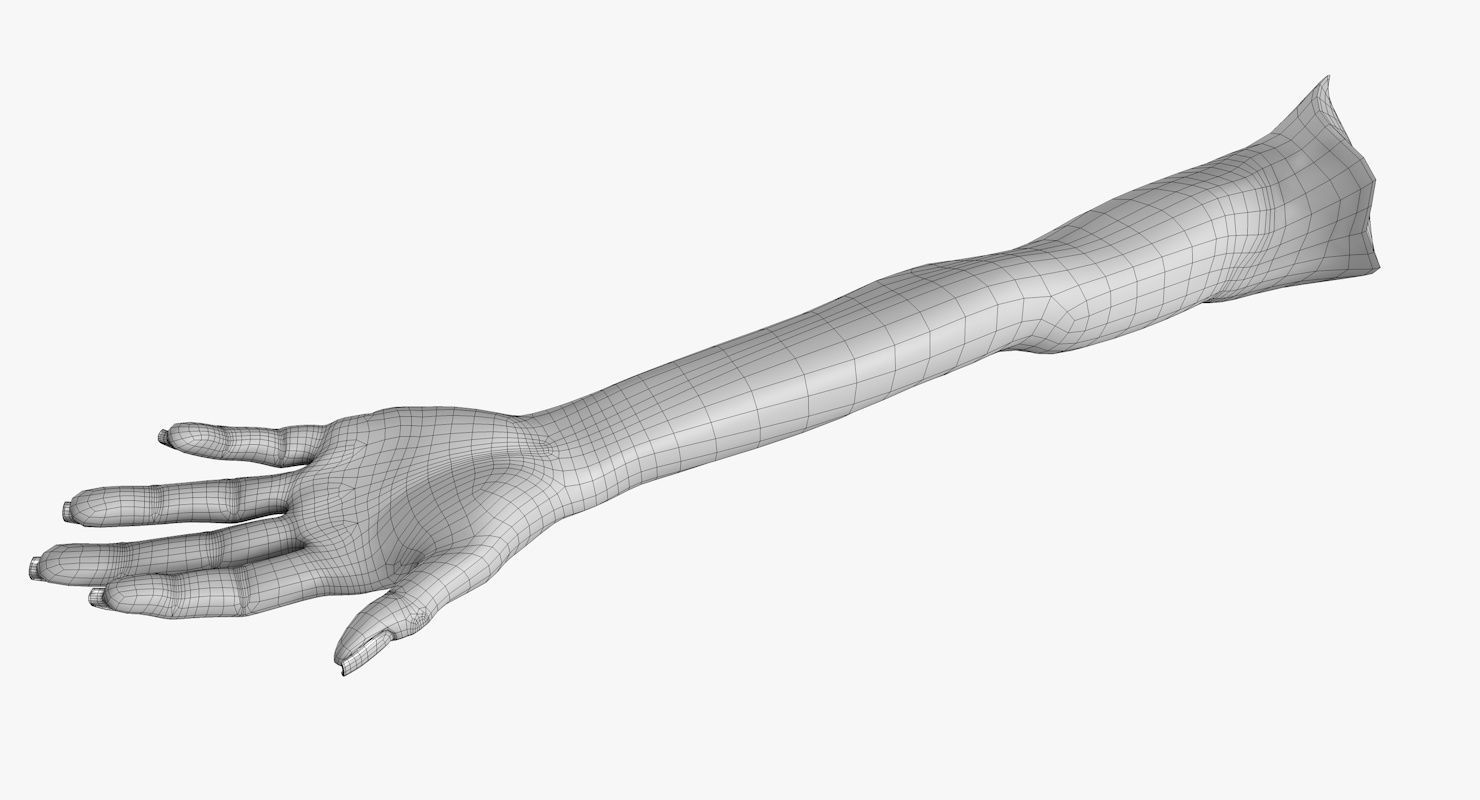 Arm left without texture 3d model female Low-poly 3D model_22