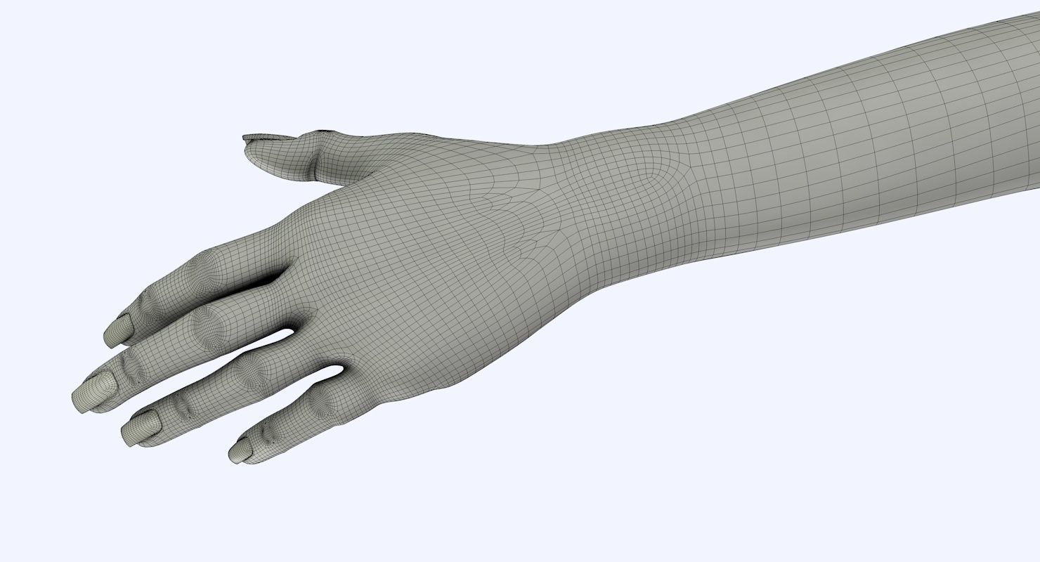 Arm left without texture 3d model female Low-poly 3D model_30